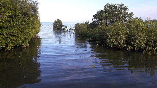 Mobod Fish Sanctuary